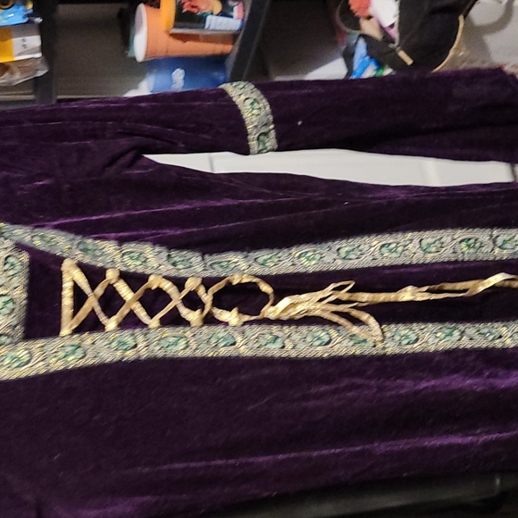 Costume Dress - Picture 3 of 7